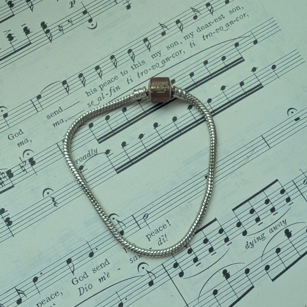 Silvertone Charm Bracelet -no Charms